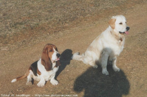 Photo de Races diffrentes