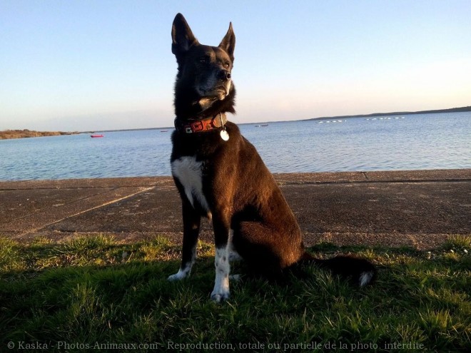 Photo de Croisement