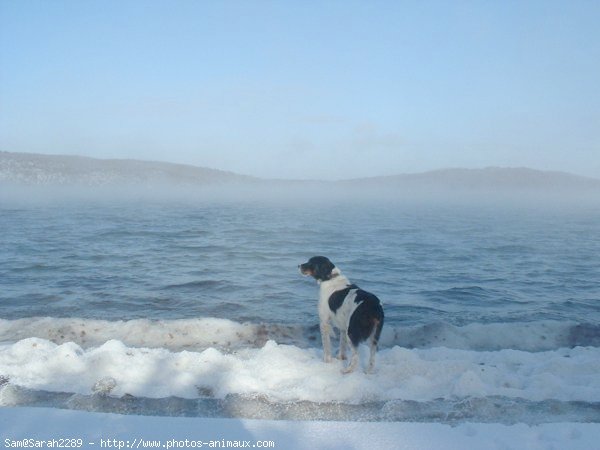 Photo de Croisement