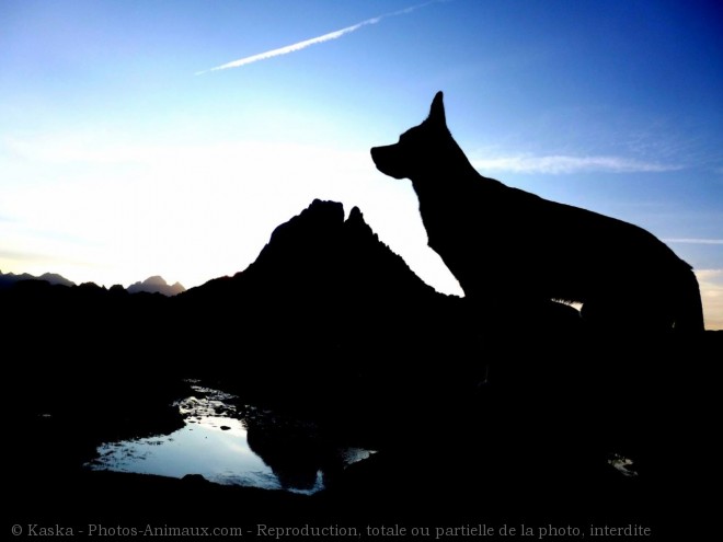 Photo de Croisement