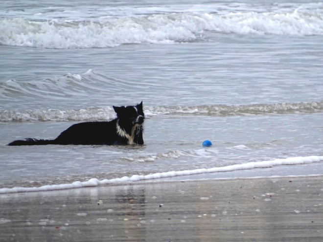 Photo de Croisement