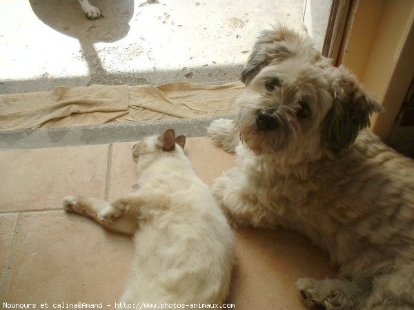 Photo de Races diffrentes