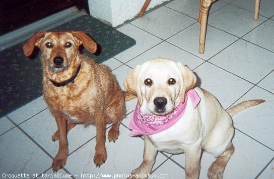 Photo de Races diffrentes