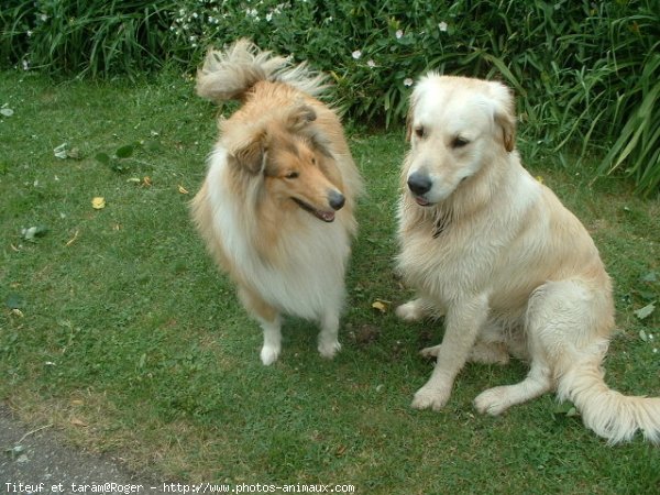 Photo de Races diffrentes