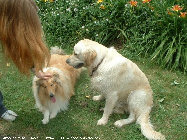 Photo de Races diffrentes