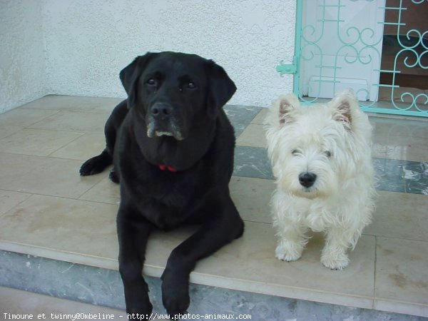 Photo de Races diffrentes