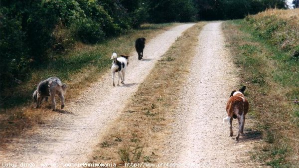 Photo de Croisement